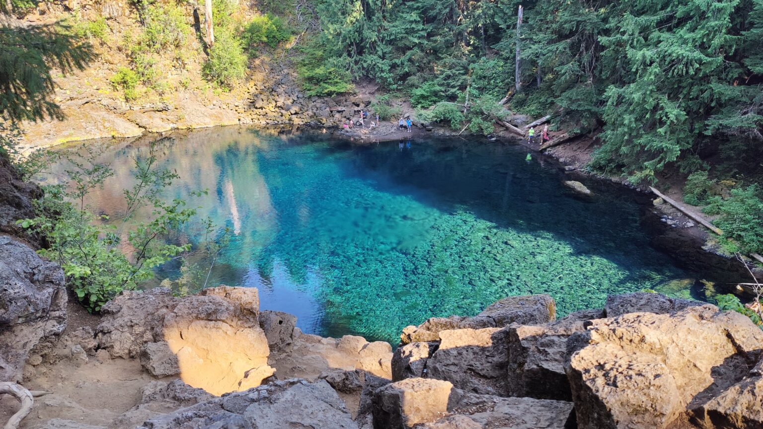 Ridgeline at golden hour.
