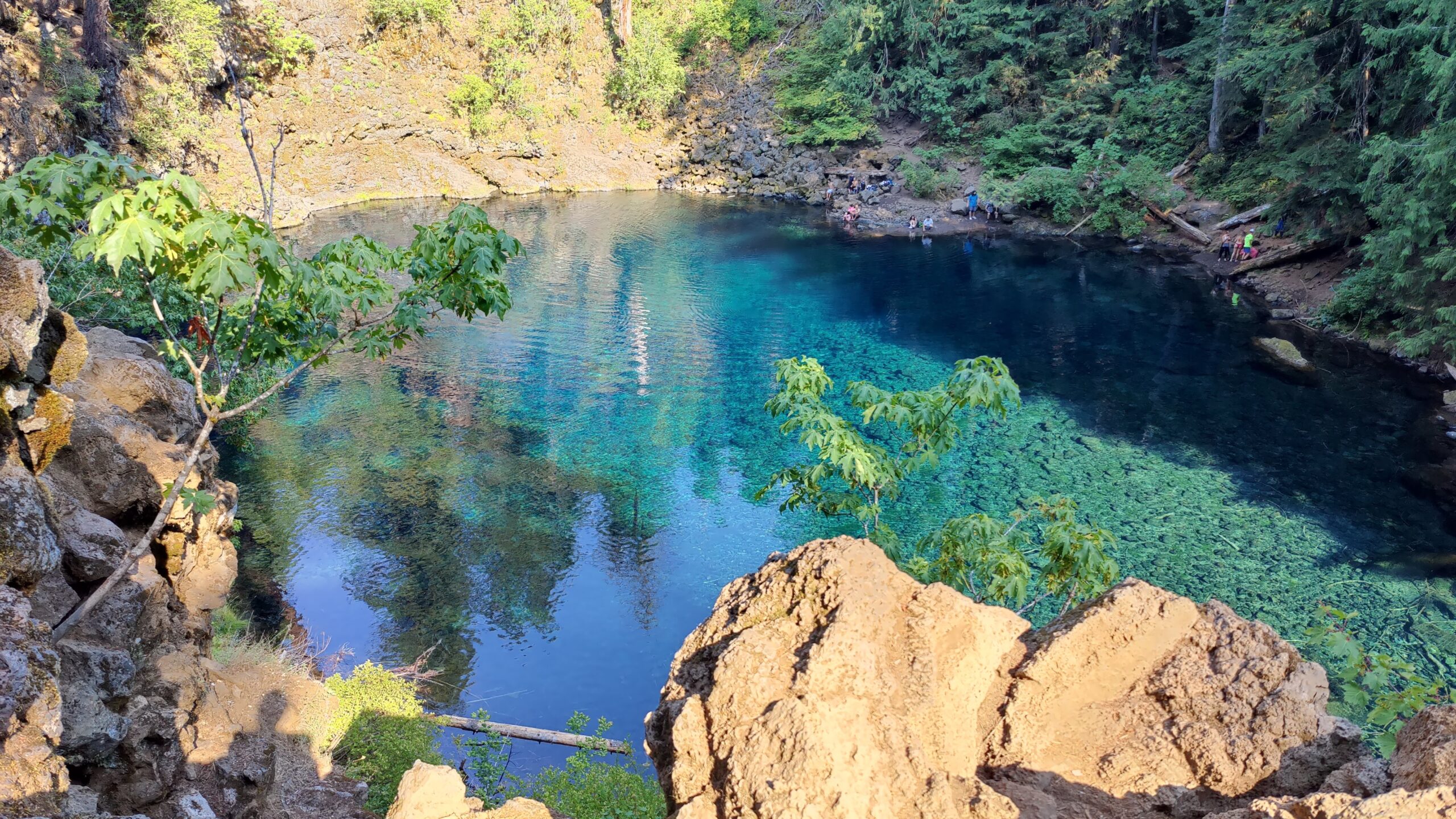 The turquoise Blue Pool at Tamolitch Falls, ringed by volcanic cliffs.