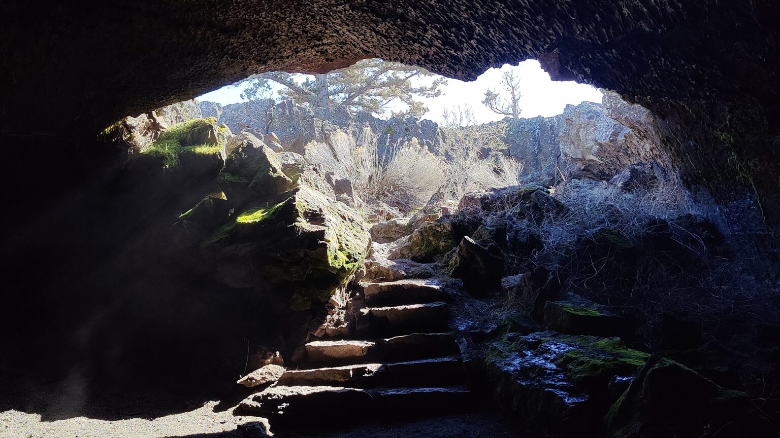 Looking back toward the cave mouth — a wash of daylight in an otherwise black tube.